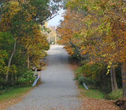 street.jpg